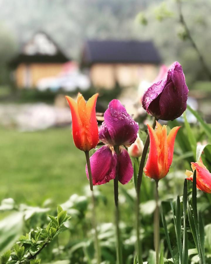 Mala Gorczanska Chatka Ochotnica Dolna المظهر الخارجي الصورة